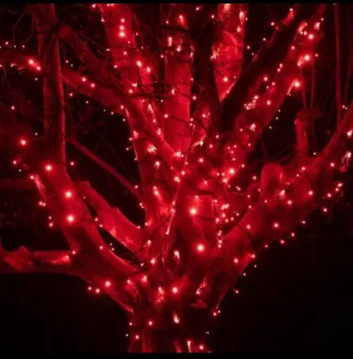 انواع ریسه های تزئینی مناسب دیزاین شب یلدا|ریسه و چراغ تزئینی|مشهد, سعد آباد|دیوار