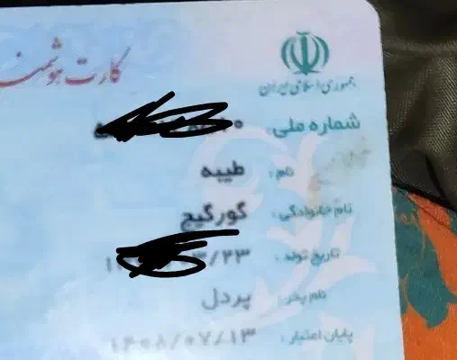 کارت ملی بنام طیبه گرگیچ گم کردم|اشیا|کرمان, |دیوار