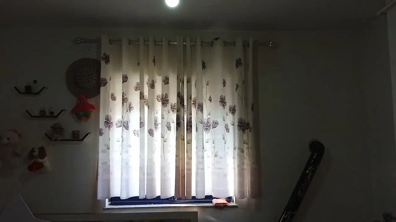 پرده حراج|حراج|رشت, دیانتی|دیوار