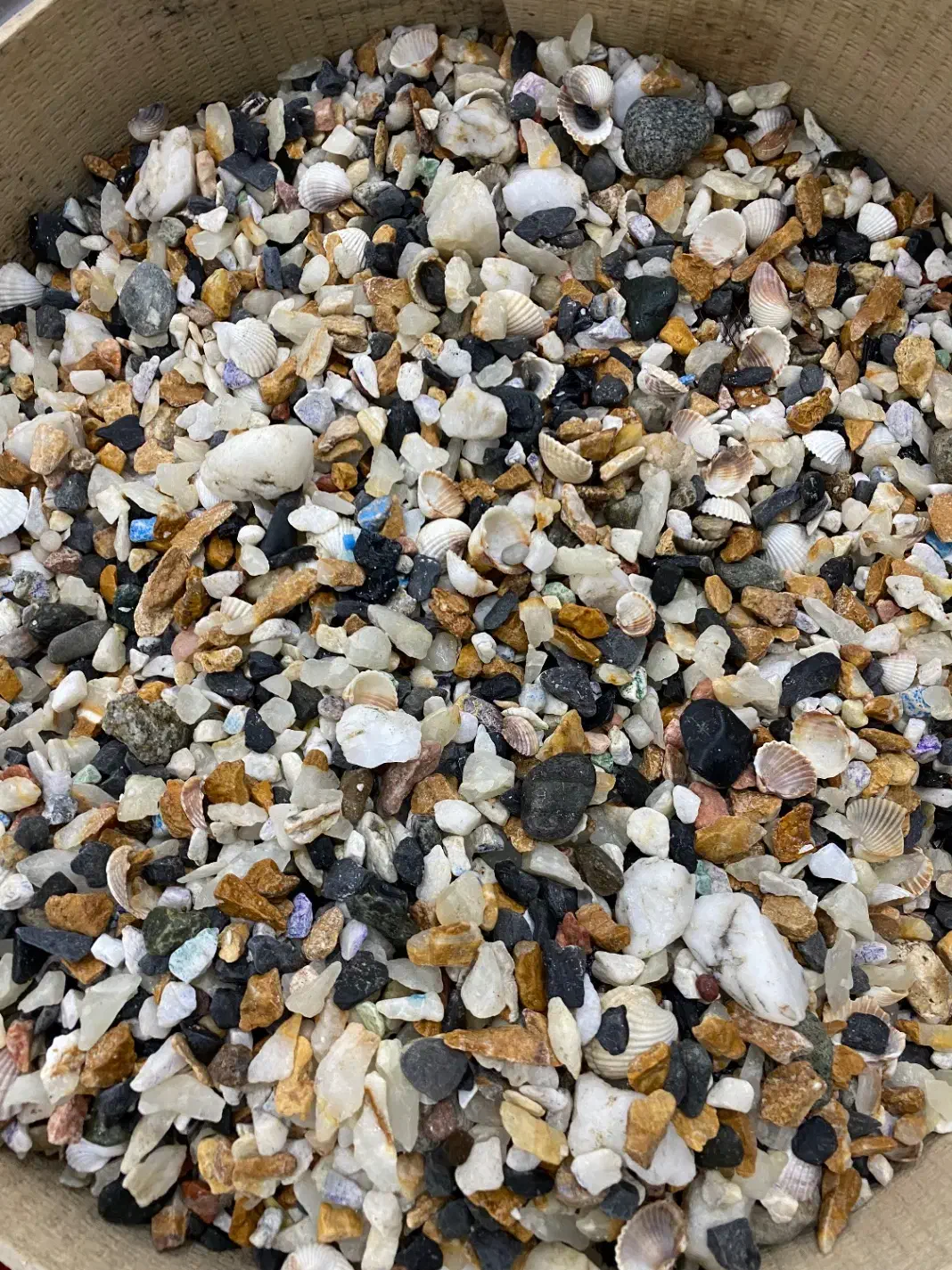 سنگ و شن آکواریوم ماهی|ماهی|مریوان, |دیوار