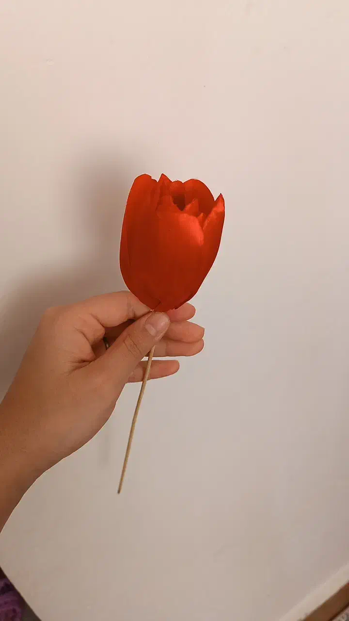 گل روبانی|گل مصنوعی|تربت‌حیدریه, پائین ولایت|دیوار