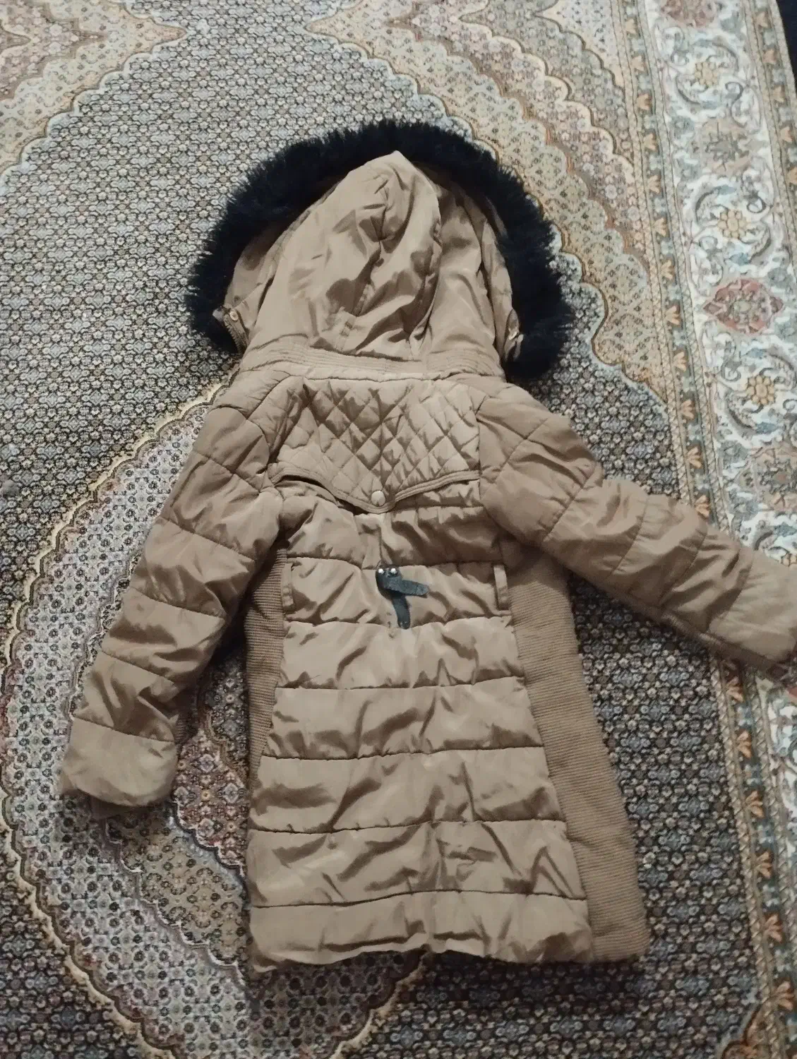 کاپشن|کفش و لباس بچه|اردبیل, |دیوار