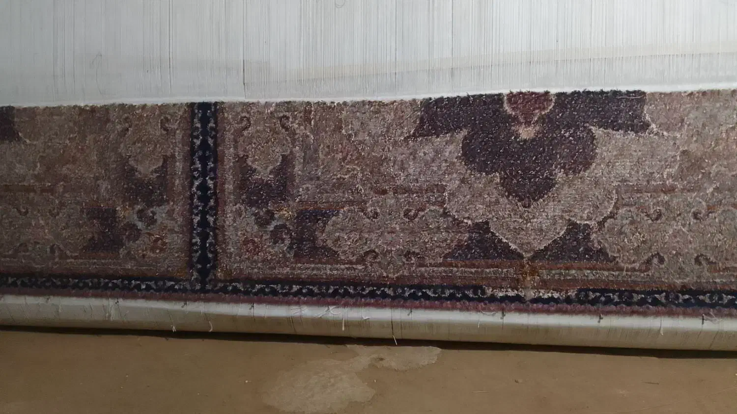 قالی ۳×۴|فرش|سلماس, |دیوار