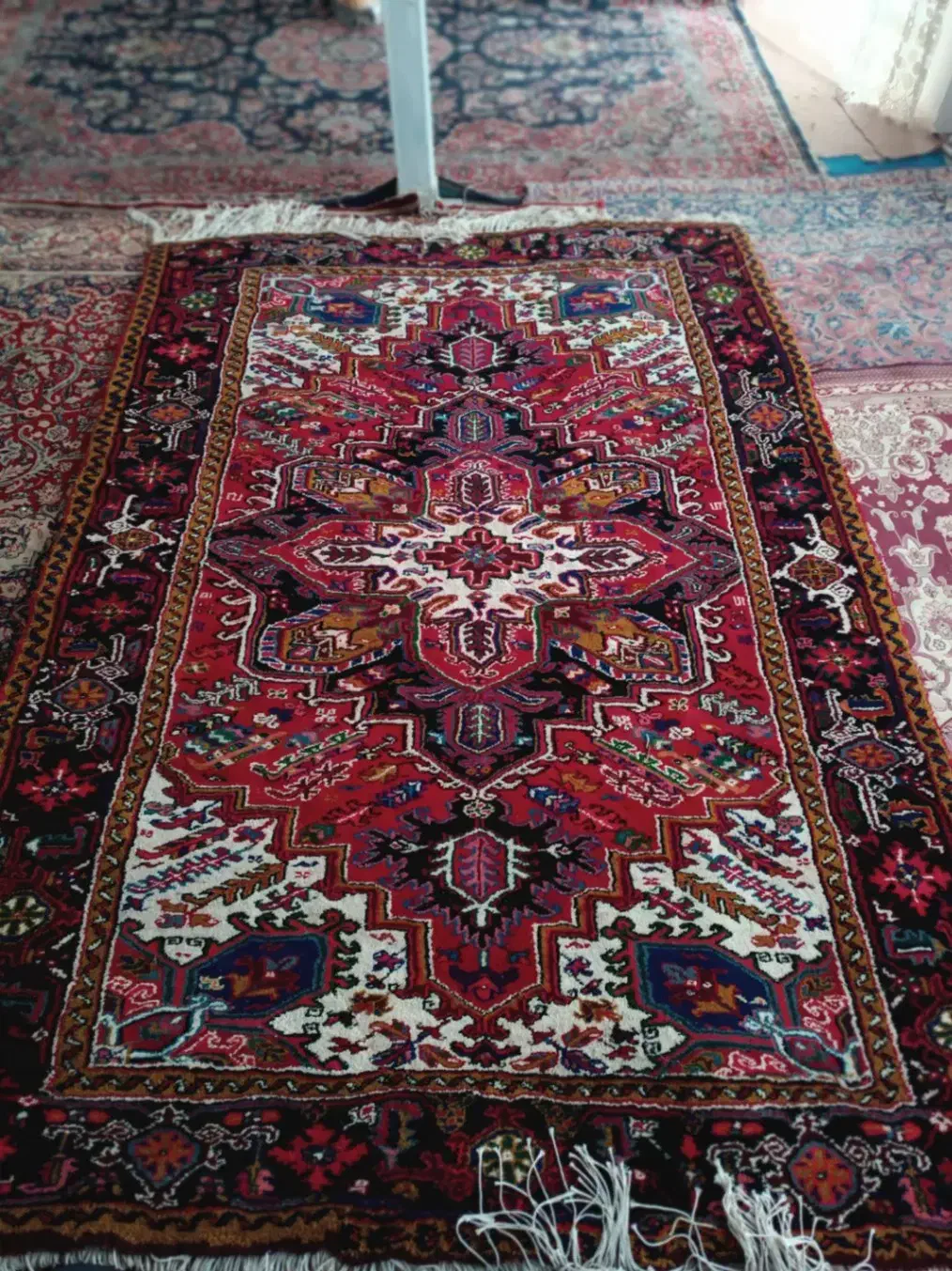 فرس دست بافت|فرش|بستان آباد, |دیوار