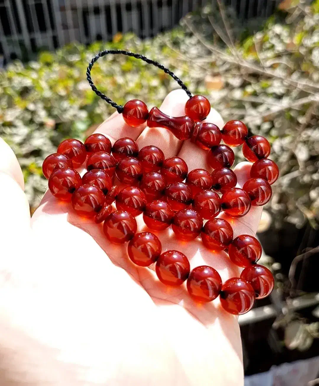 کهربا|جواهرات|نقده, |دیوار