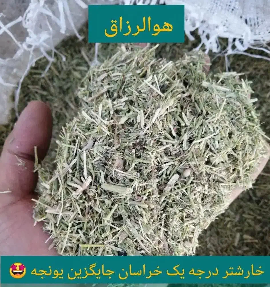 کاه خارشتر جایگزین یونجه مخصوص گوسفند و گاو|لوازم جانبی حیوانات|اصفهان, بهاران|دیوار