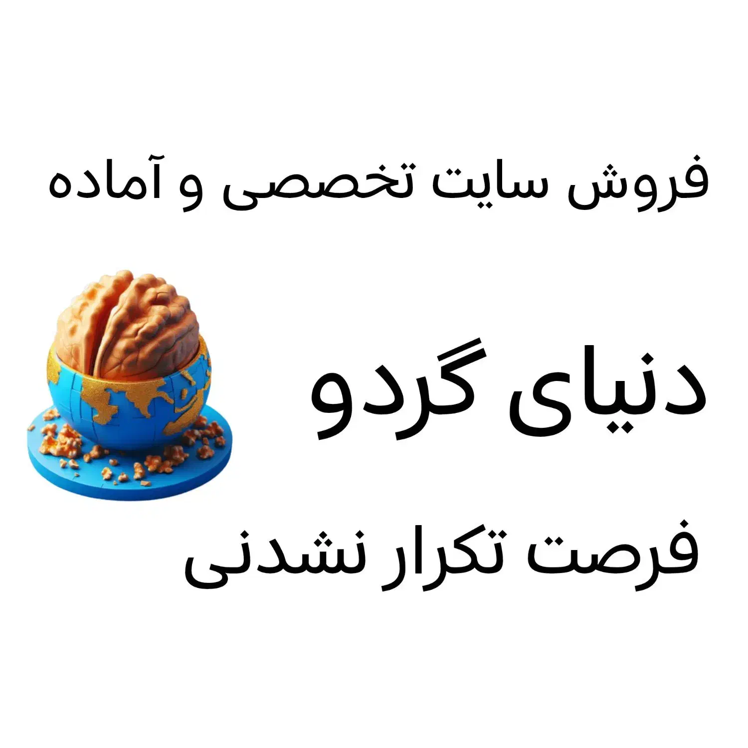 فروش دامنه و سایت تخصصی دنیای گردو|خدمات رایانه‌ای و موبایل|تویسرکان, |دیوار