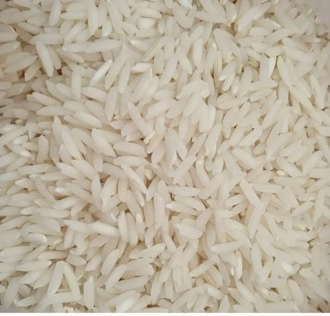 برنج هاشمی درجه یک سورتینگ و بسته بندی شده|خوردنی و آشامیدنی|آستانه اشرفیه, |دیوار