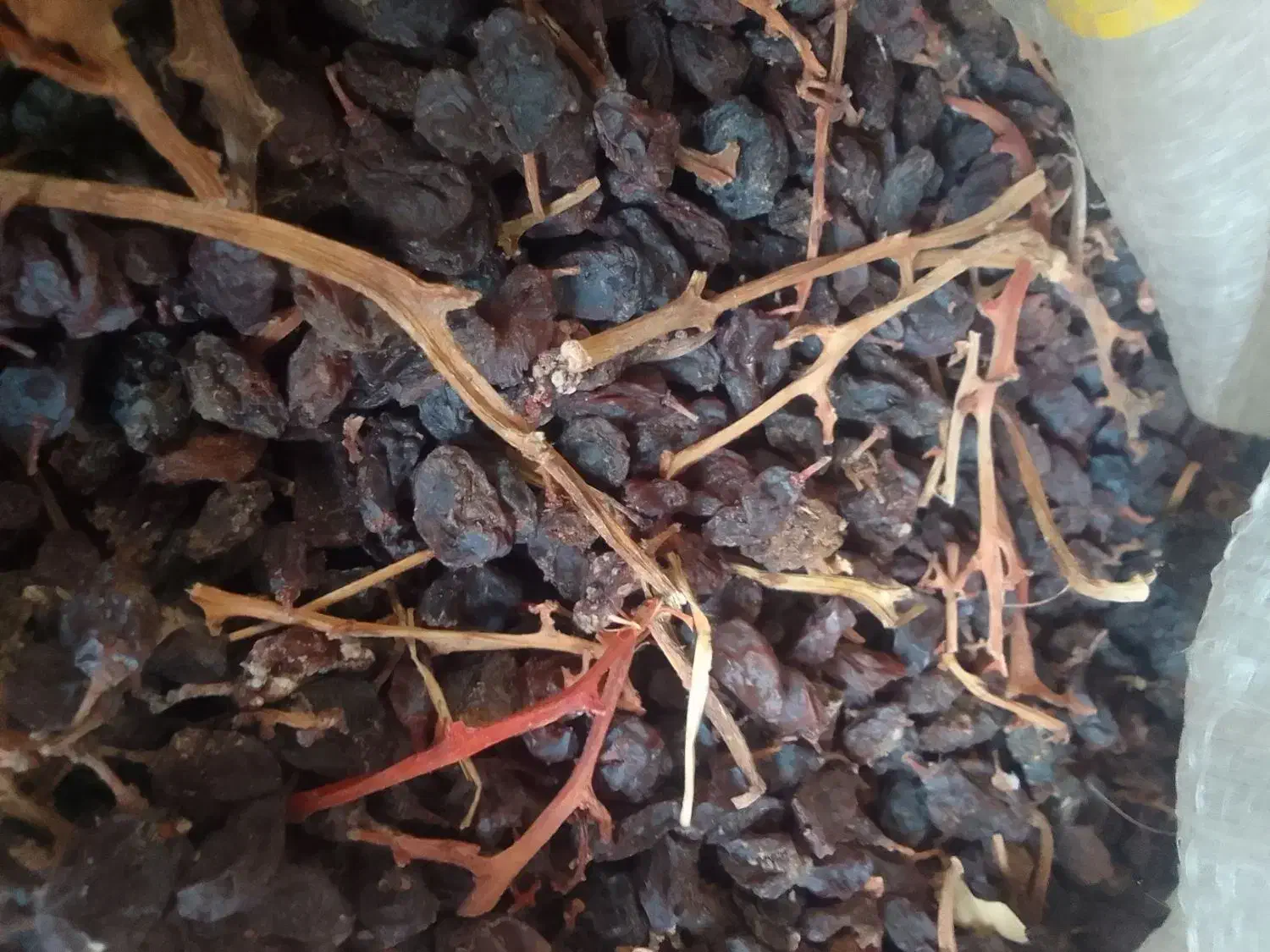 کشمش بیدانه آفتابی تاکستان تمیز(فقط آبگیری دارم )|خوردنی و آشامیدنی|تهران, شهرک ولیعصر شمالی|دیوار