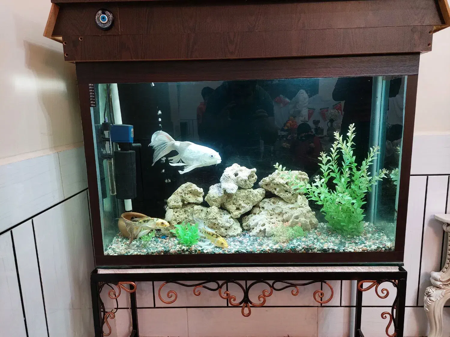 فروش آکواریوم با شیشه ۱۰ میل ضخیم (توافقی)|ماهی|دزفول, |دیوار