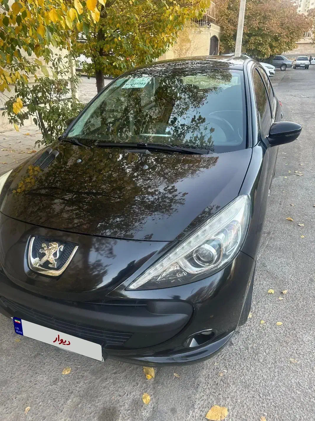 ۲۰۷ مشکی پانا|خودرو سواری و وانت|شیراز, گلدشت معالی‌آباد|دیوار