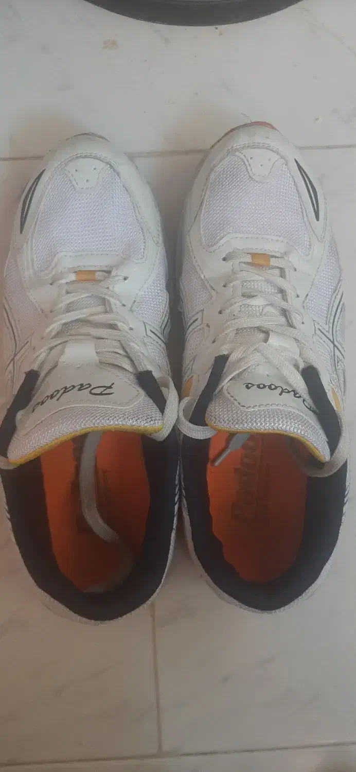 کتونی اسیکس|کیف، کفش، کمربند|اسفراین, |دیوار