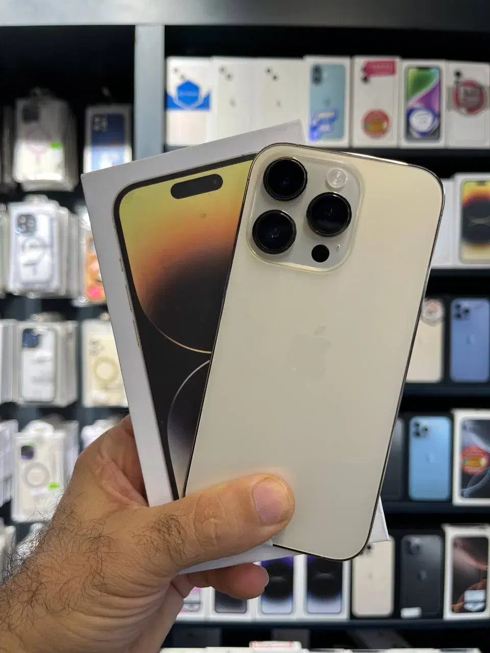 اپل 14 پرو قسطی با چک با اقساط بلند مدت|موبایل|رشت, بازار|دیوار