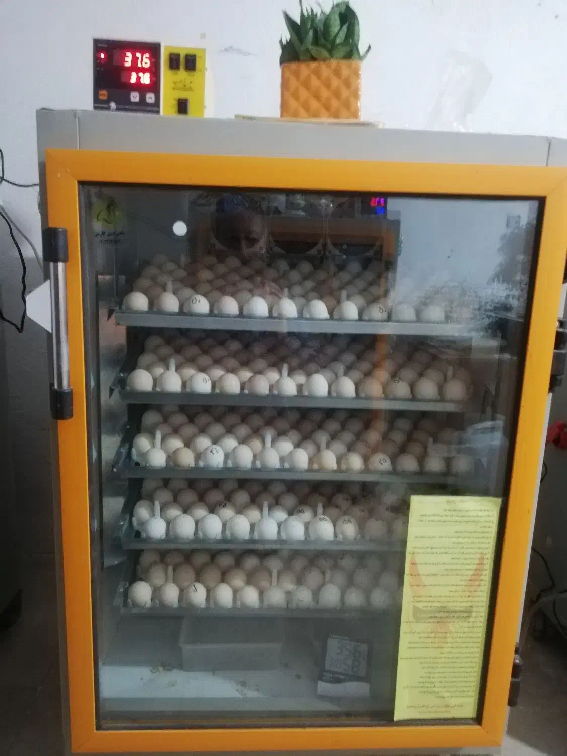 دستگاه جوجه کشی سیمرغ جنوب|لوازم جانبی حیوانات|شیراز, زرهی|دیوار