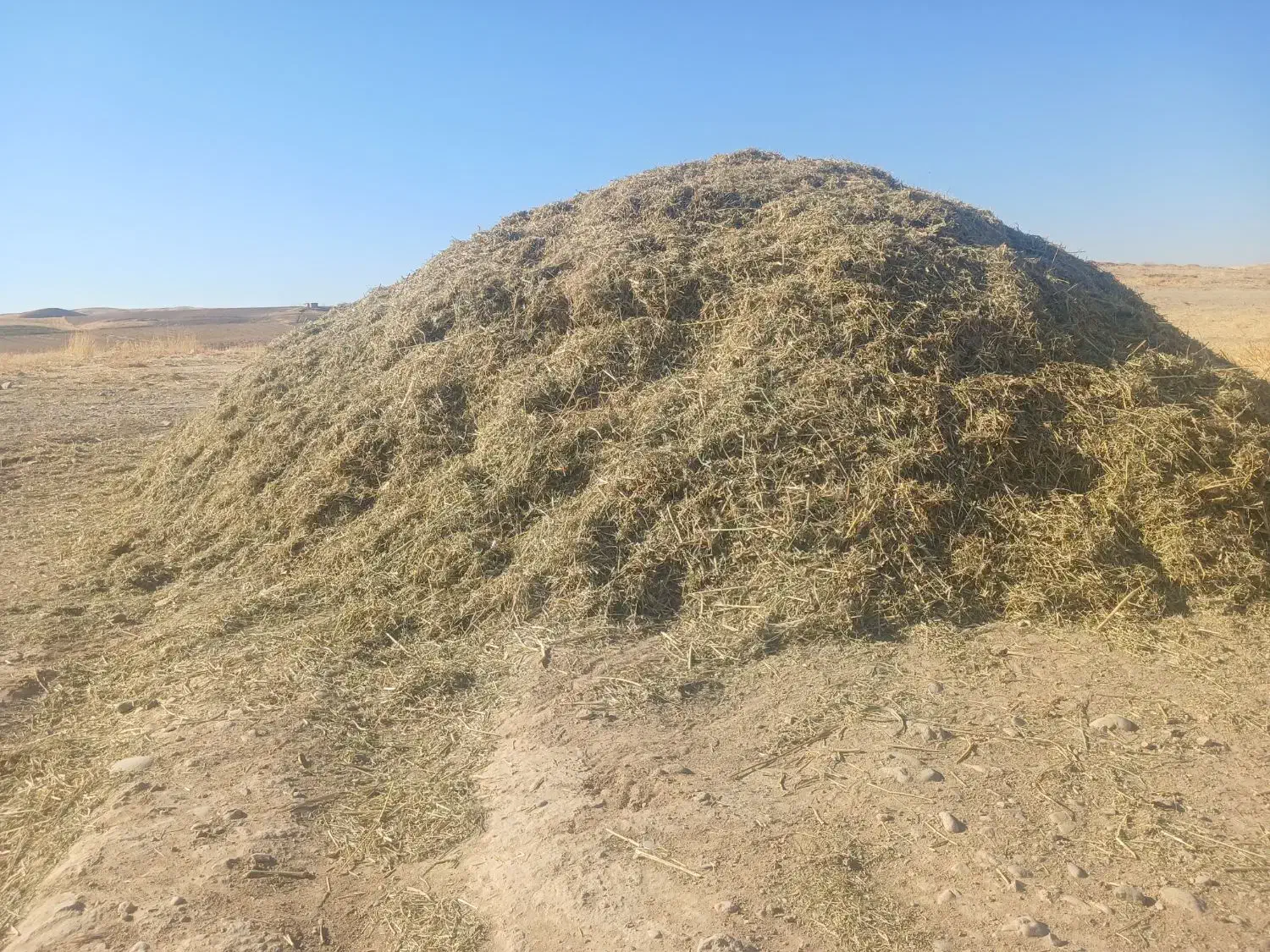 ۹۰۰ کیلو کاه و ۸۰۰ کیلو یونجه فروش فوری|حیوانات مزرعه|افشار, |دیوار