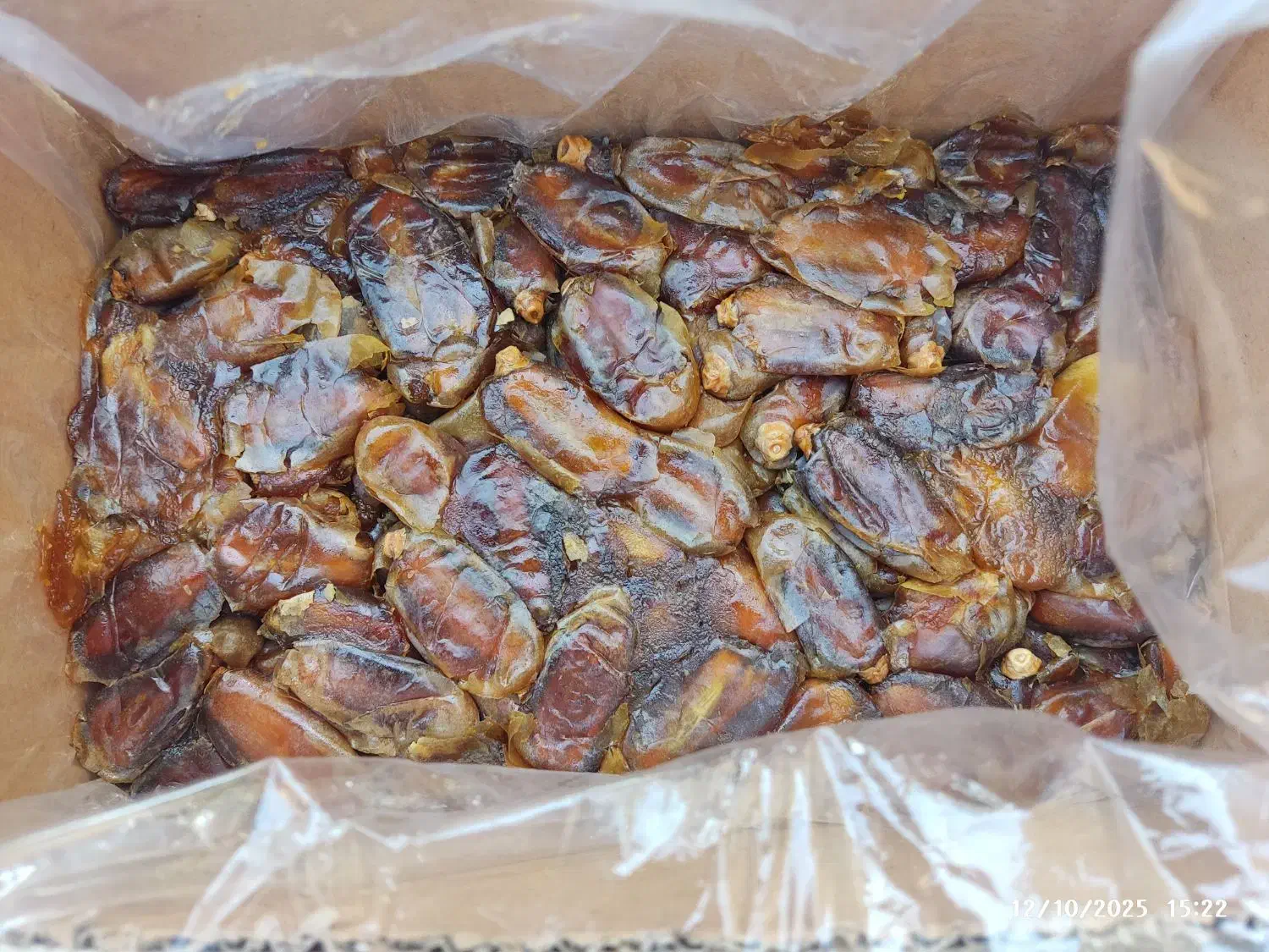 خرمای شاهانی خونگی|خوردنی و آشامیدنی|شیبکوه (فارس), |دیوار