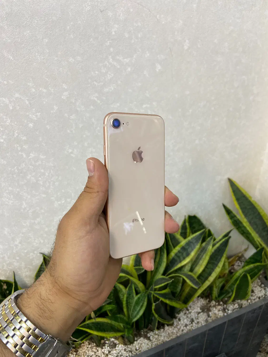 اپل iPhone 8حافظه۶۴یاهرنوع ایفون که بخوای بدون پیش|موبایل|اصفهان, احمدآباد|دیوار