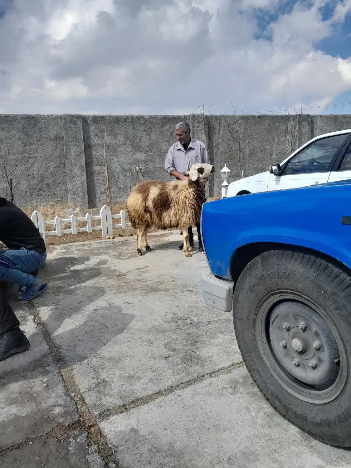 قصاب ذبح|خدمات پذیرایی، مراسم|اراک, |دیوار