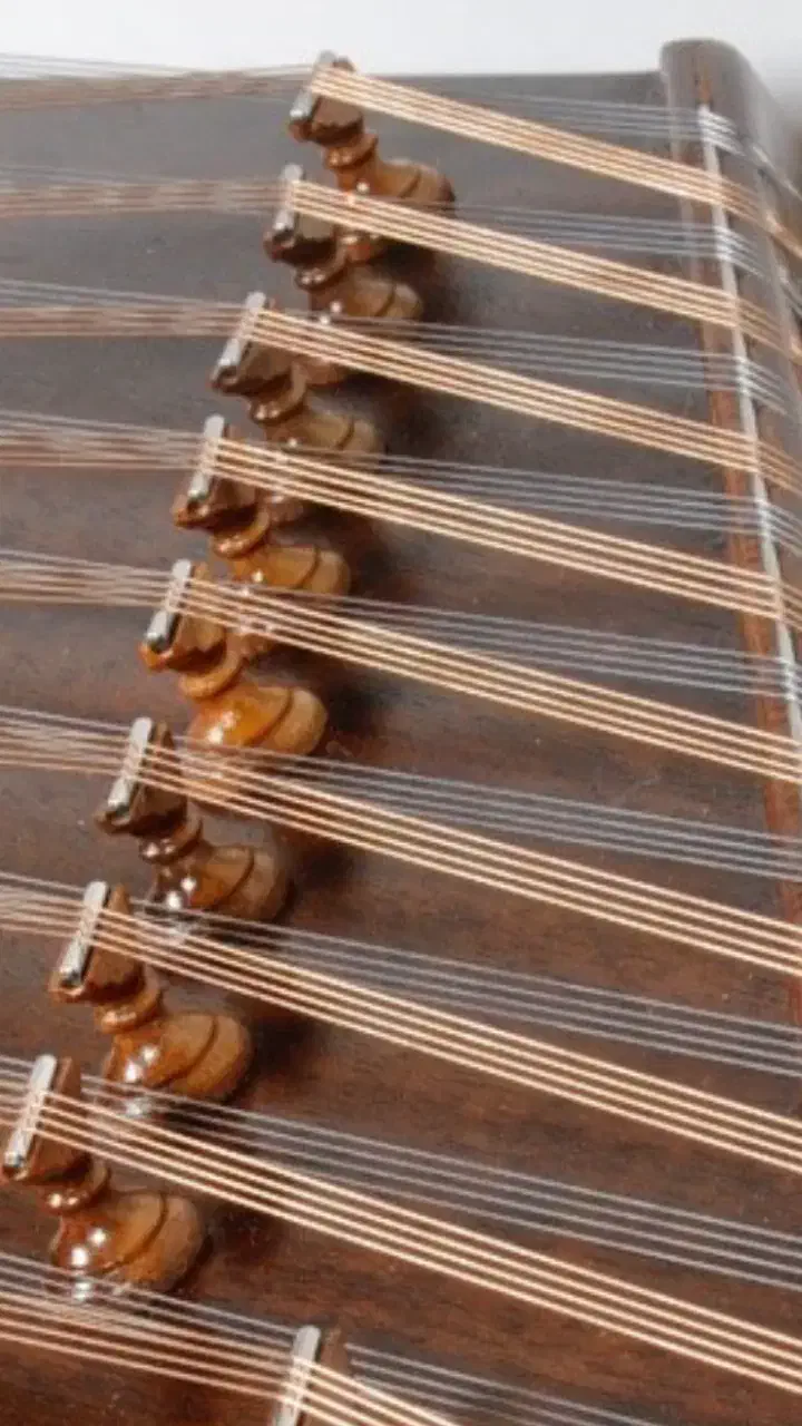 کوک ، تنظیم و رگلاژ حرفه ای سنتور|سازهای سنتی|تهران, تهرانپارس شرقی|دیوار