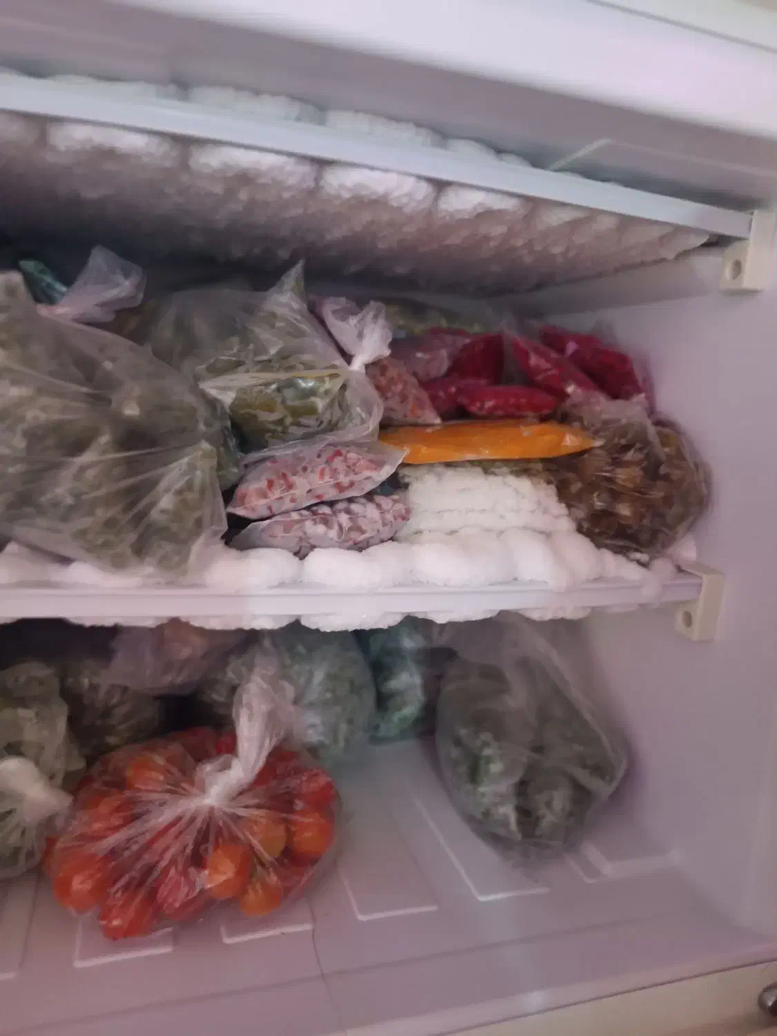 یخچال پیلور بدون هیچ ایراد فقط تا دوشنبه|یخچال و فریزر|رشت, کوی مهر|دیوار