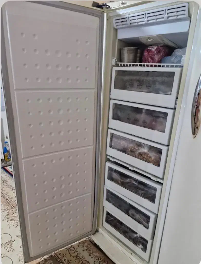 یخچال دوقلو سینجر|یخچال و فریزر|همدان, |دیوار