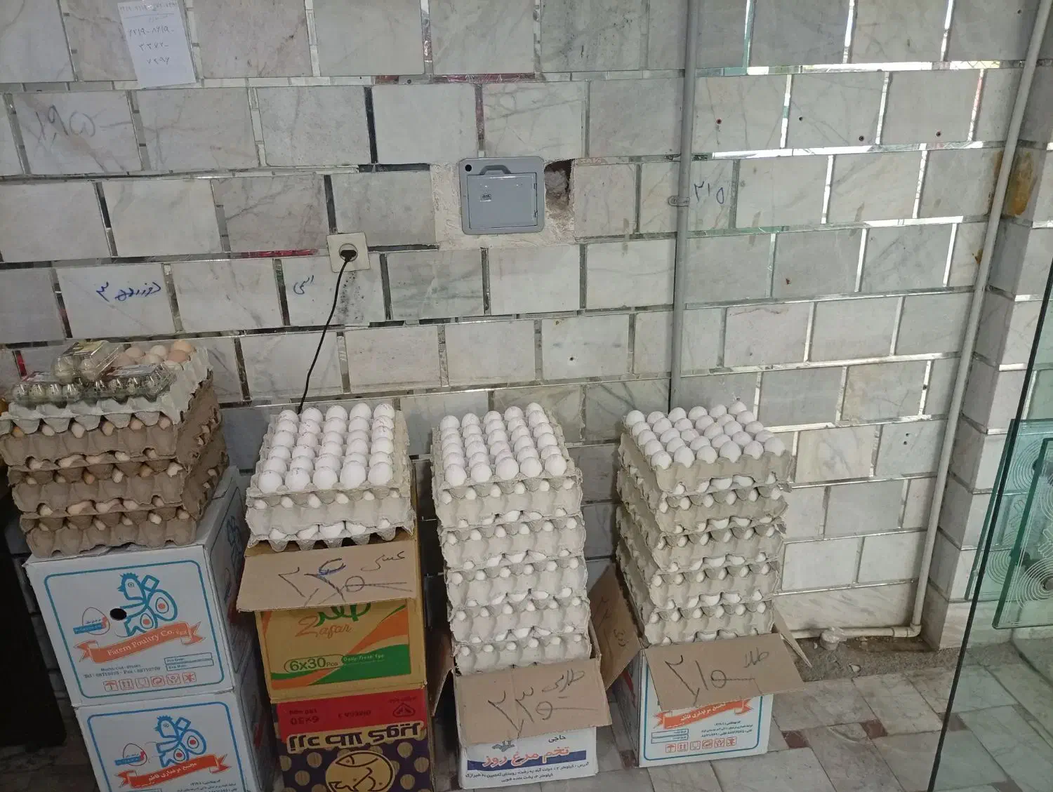 فروش تخم مرغ به قیمت عمده|عمدهفروشی|هشتگرد, شهرک ولیعصر (مصلی)|دیوار