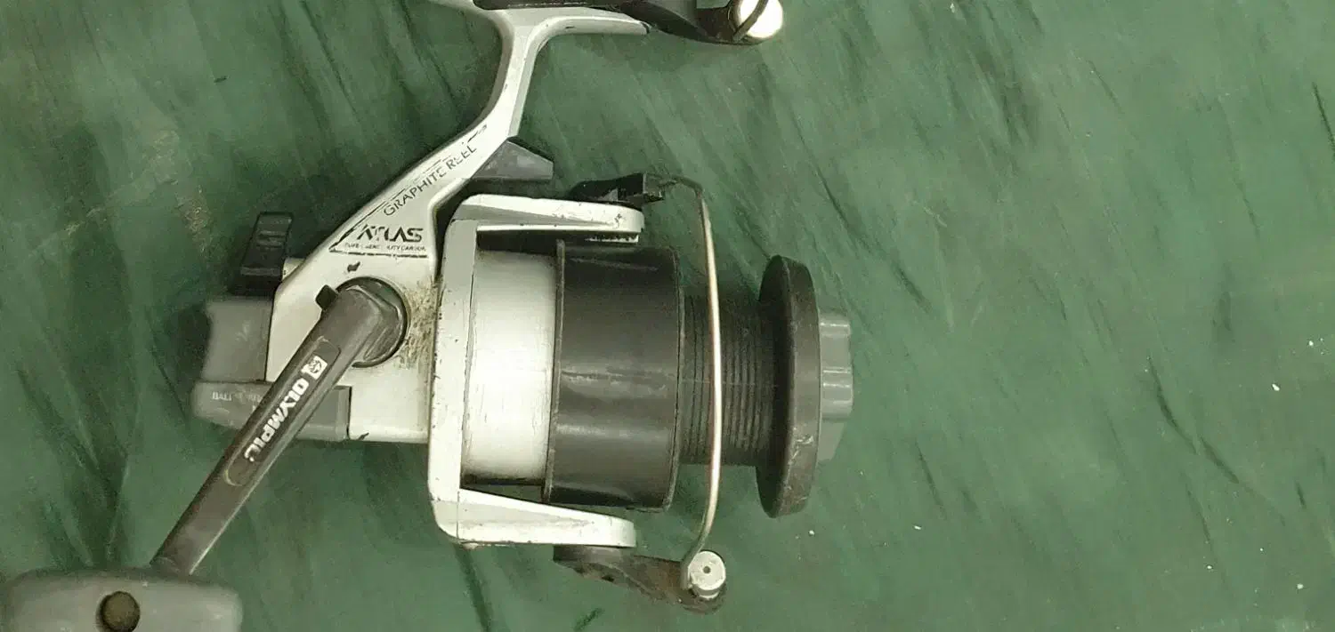 لنسر ماهیگیری|ماهیگیری|گنبد کاووس, |دیوار