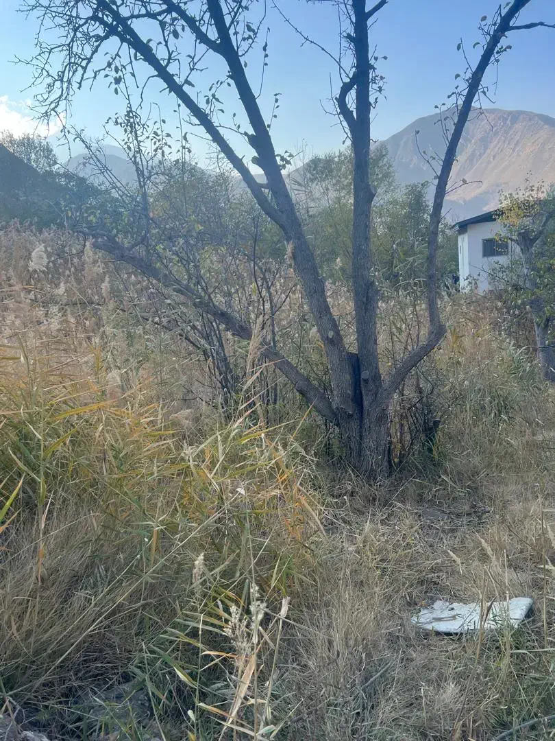 ۲۵۰ متر زمین داخل بافت در جاده هراز آب وهوای خنک|فروش زمین و ملک کلنگی|گزنک, |دیوار