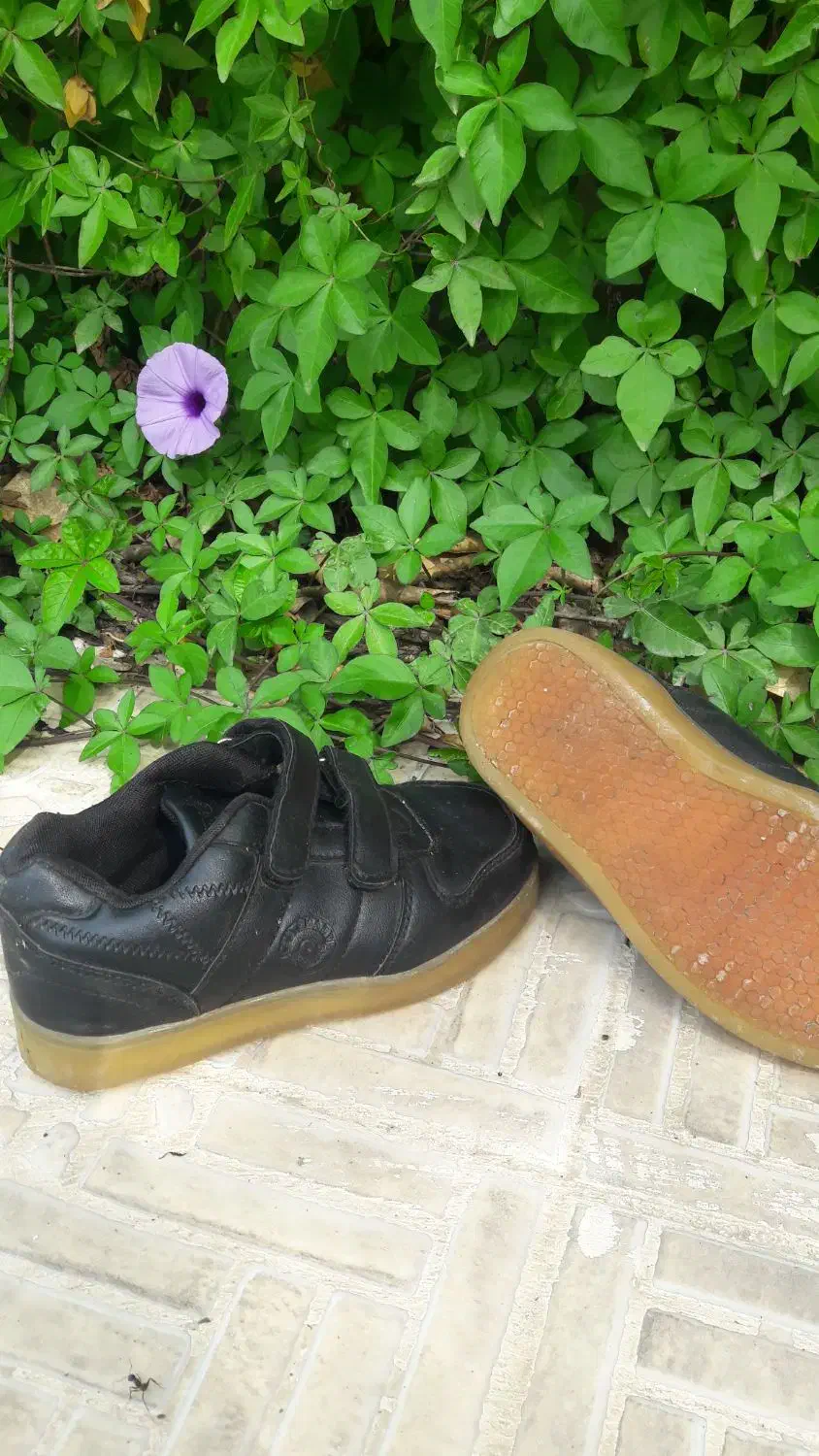 کفش بچه گانه|کفش و لباس بچه|بوشهر, |دیوار