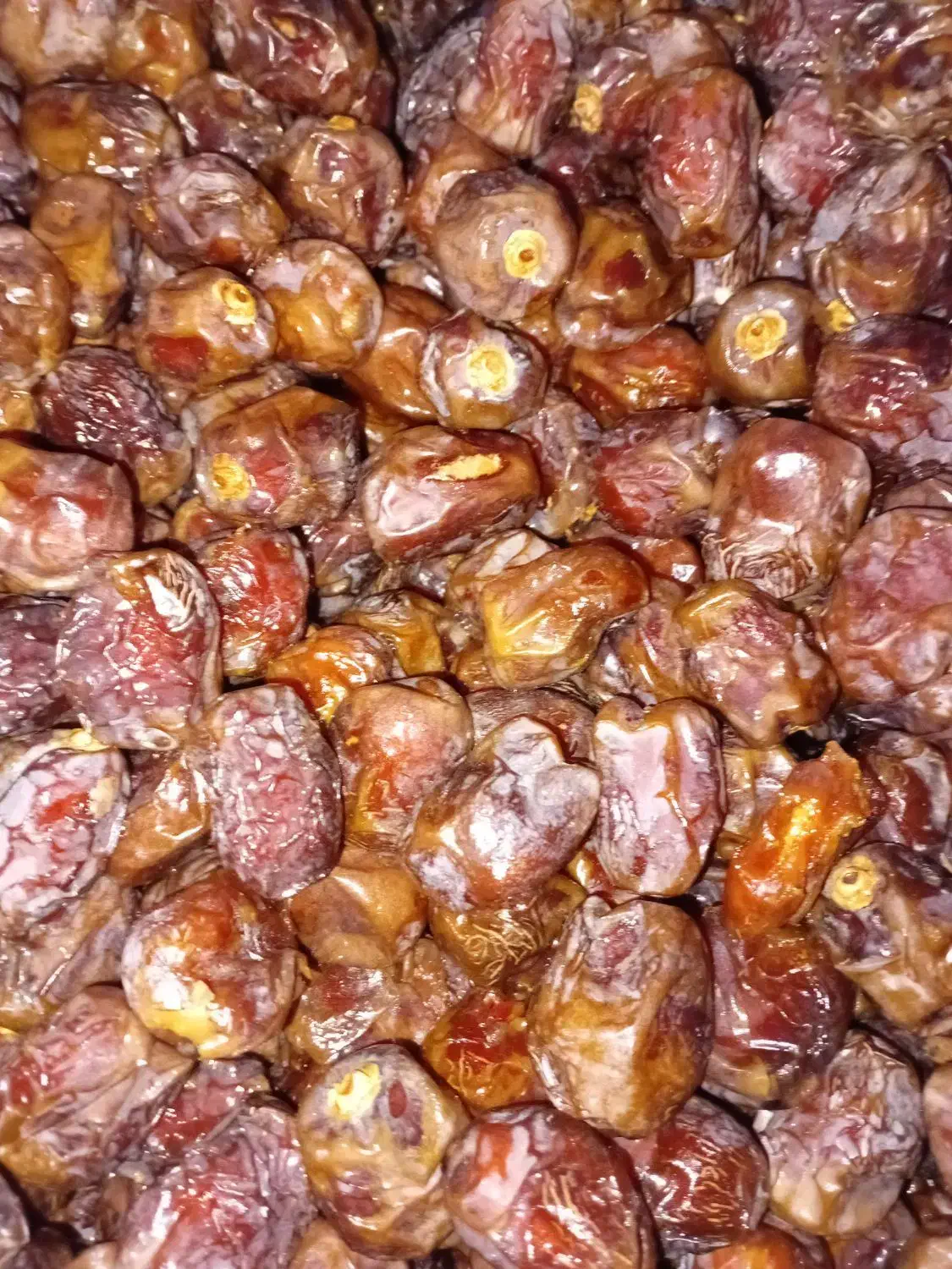 خرمای مرداسنگ|خوردنی و آشامیدنی|فاریاب, |دیوار