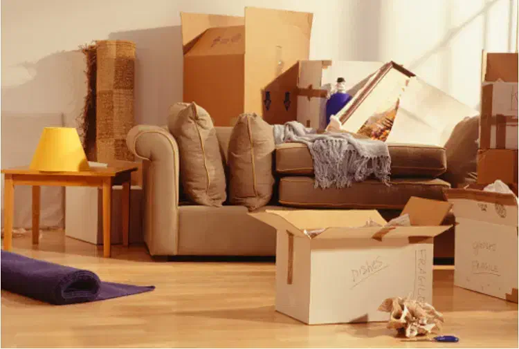 خدمات نظافت اپارتمان|خدمات نظافت|شاهرود, |دیوار