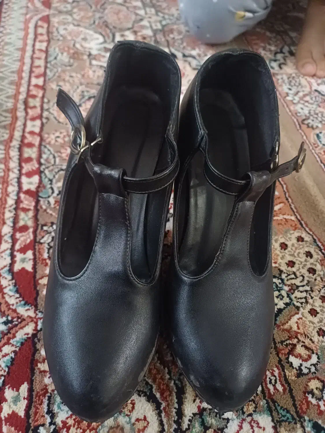 کفش مجلسی و کالج در حدنو|کیف، کفش، کمربند|نیشابور, پاستور|دیوار