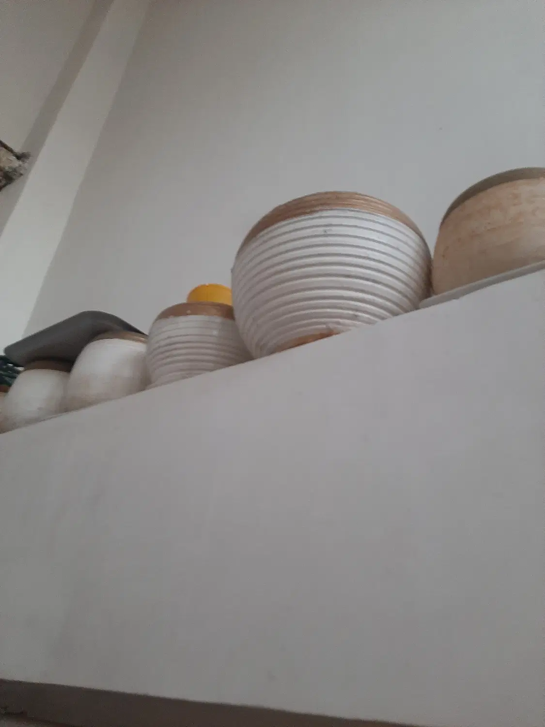 گلدان|گل و گیاه طبیعی|میانه, |دیوار