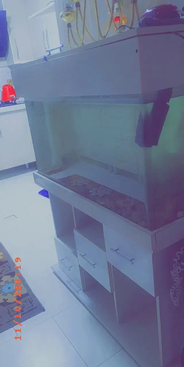 اکواریوم شیشه خم یک متری با میز پایه|ماهی|مشکیندشت, |دیوار