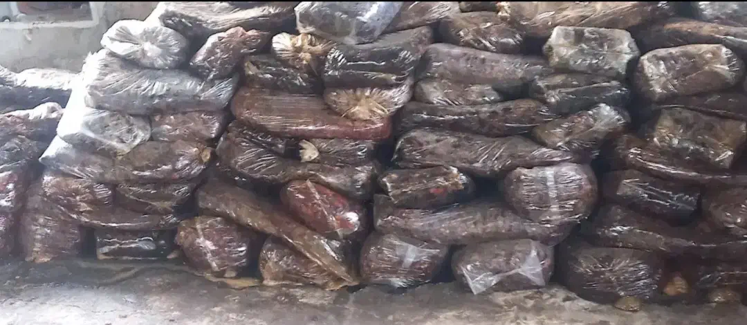 ضایعات خرما|خوردنی و آشامیدنی|میاندوآب, |دیوار