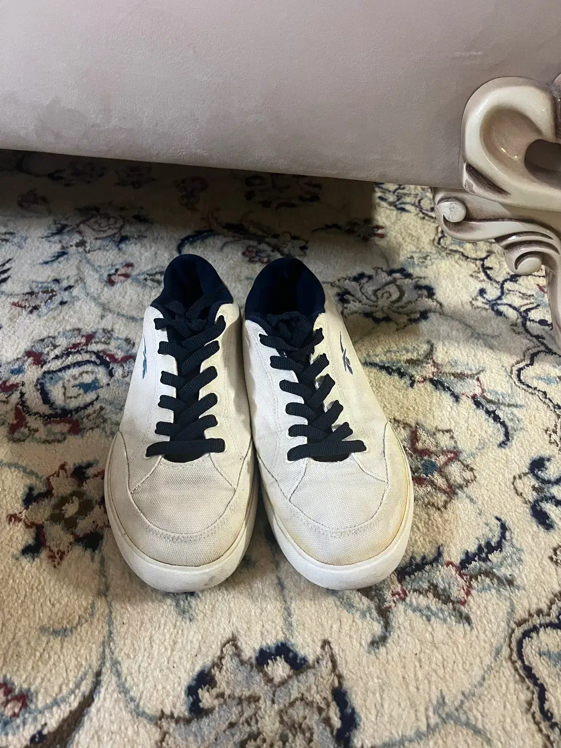 کفش کتونی و مجلسی|کیف، کفش، کمربند|گنبد کاووس, |دیوار