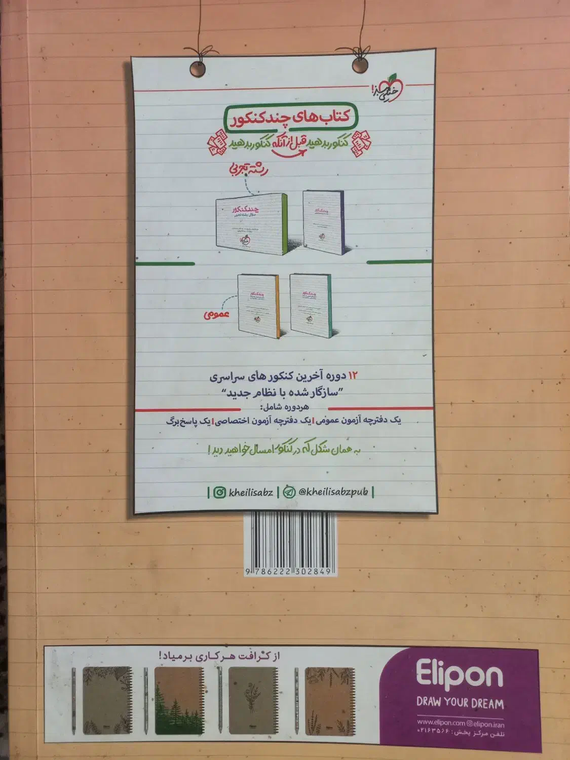زیست دوازدهم|کتاب و مجله آموزشی|قم, هفت تیر|دیوار