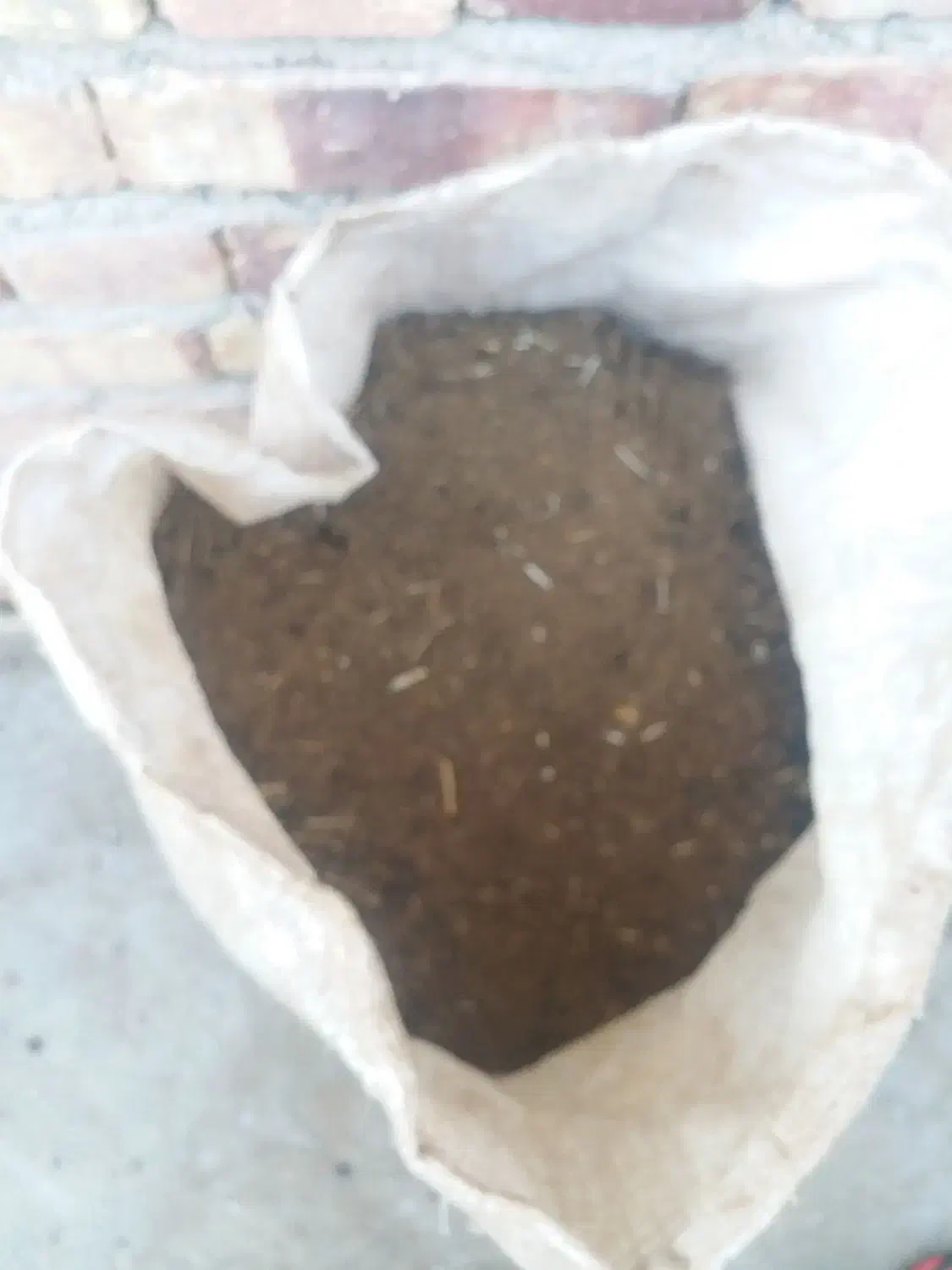 فروش پهن گوسفند برای کود درختان میوه|خدمات باغبانی و درختکاری|ایلخچی, |دیوار