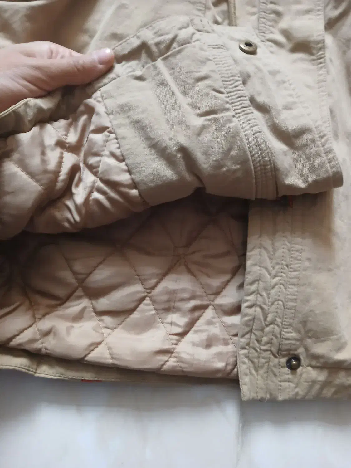 پالتونوکتان|لباس|کرج, گلشهر|دیوار