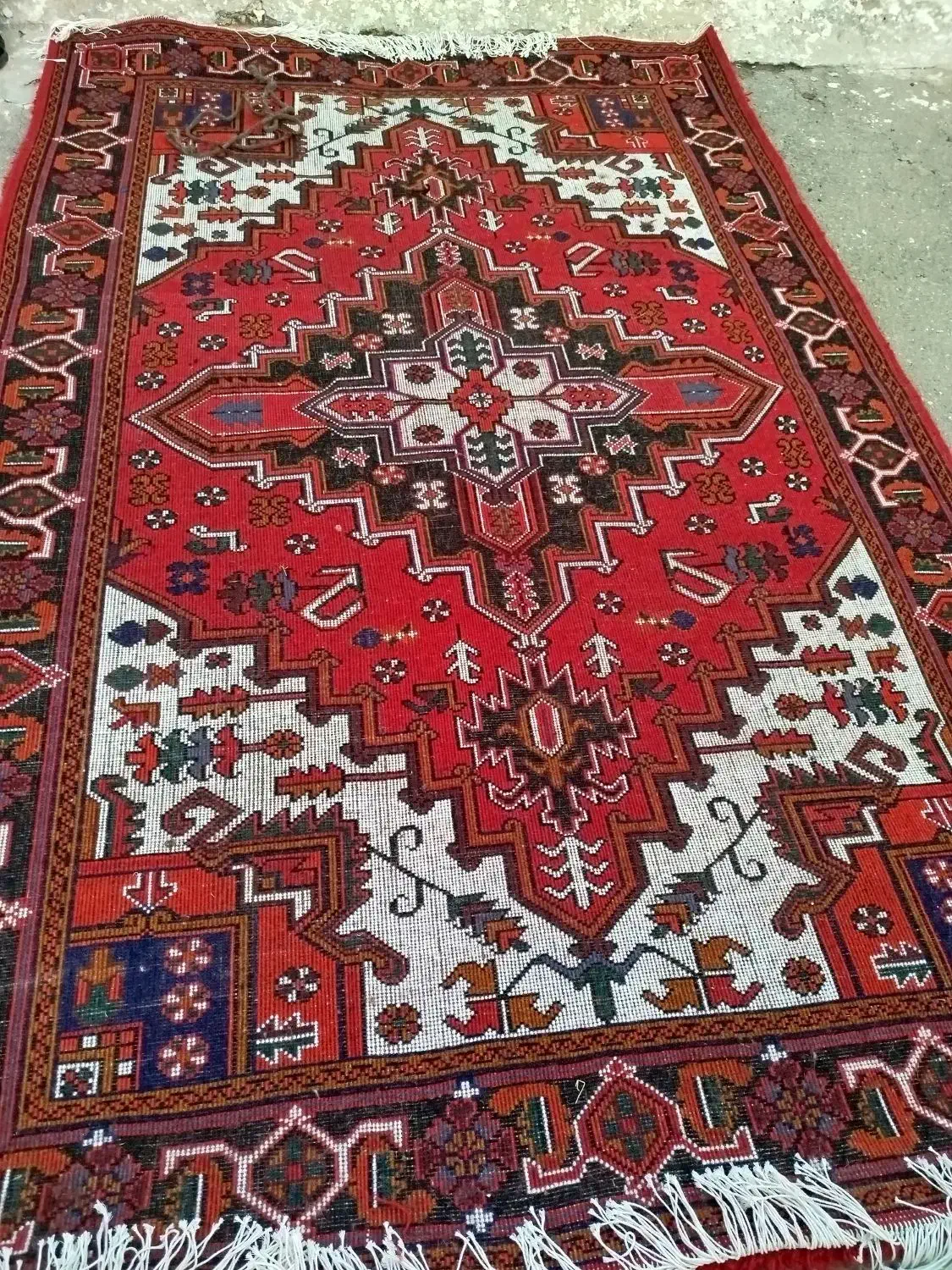 دو جفت فرش دستباف ۶متری هریس نو نو|فرش|تبریز, |دیوار