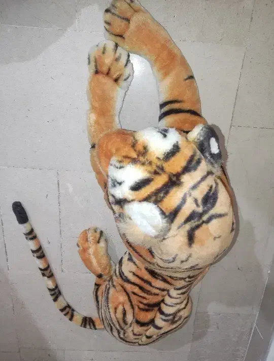 ببر پولیشی بزرگ|اسباببازی|تهران, نیروی هوایی (پیروزی)|دیوار