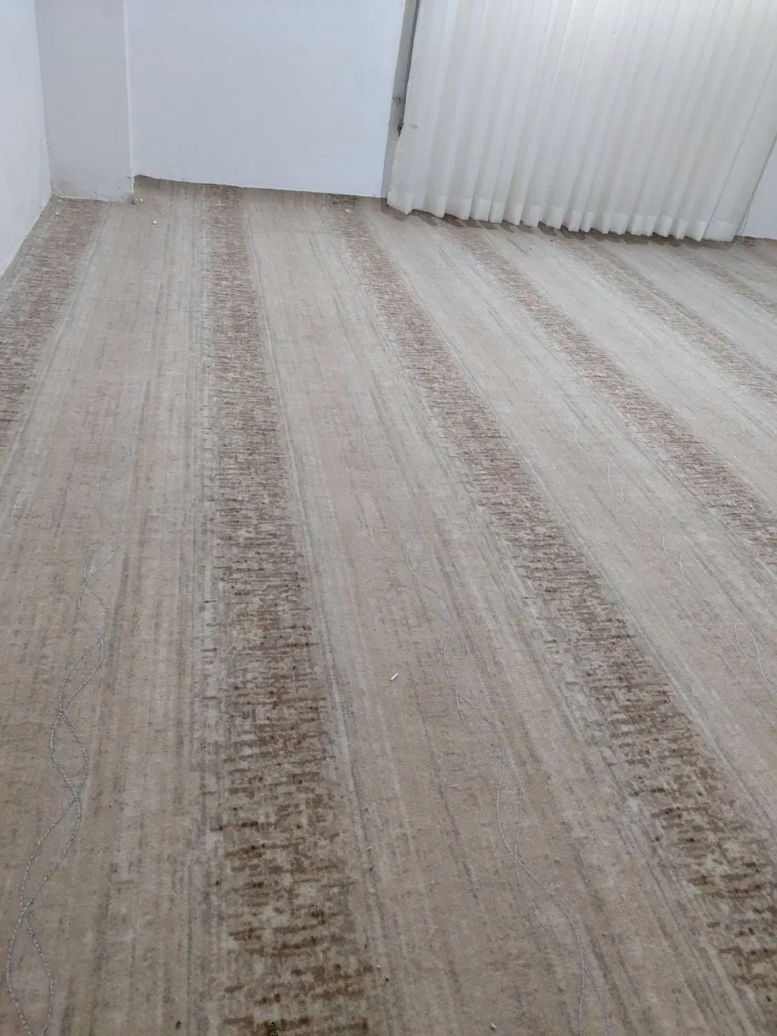 ۴۸ متر موکت در حد نو|موکت|قائم‌شهر, |دیوار