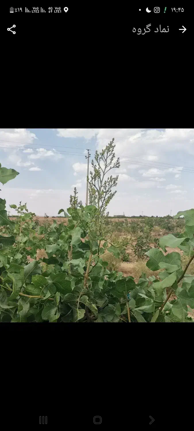 فروش آب کشاورزی|فروش دفتر صنعتی، کشاورزی، تجاری|بهمن, |دیوار