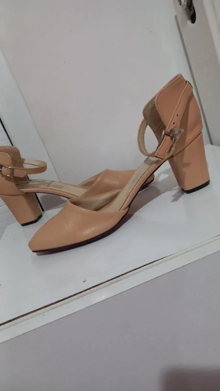 کفش|کیف، کفش، کمربند|اردبیل, |دیوار