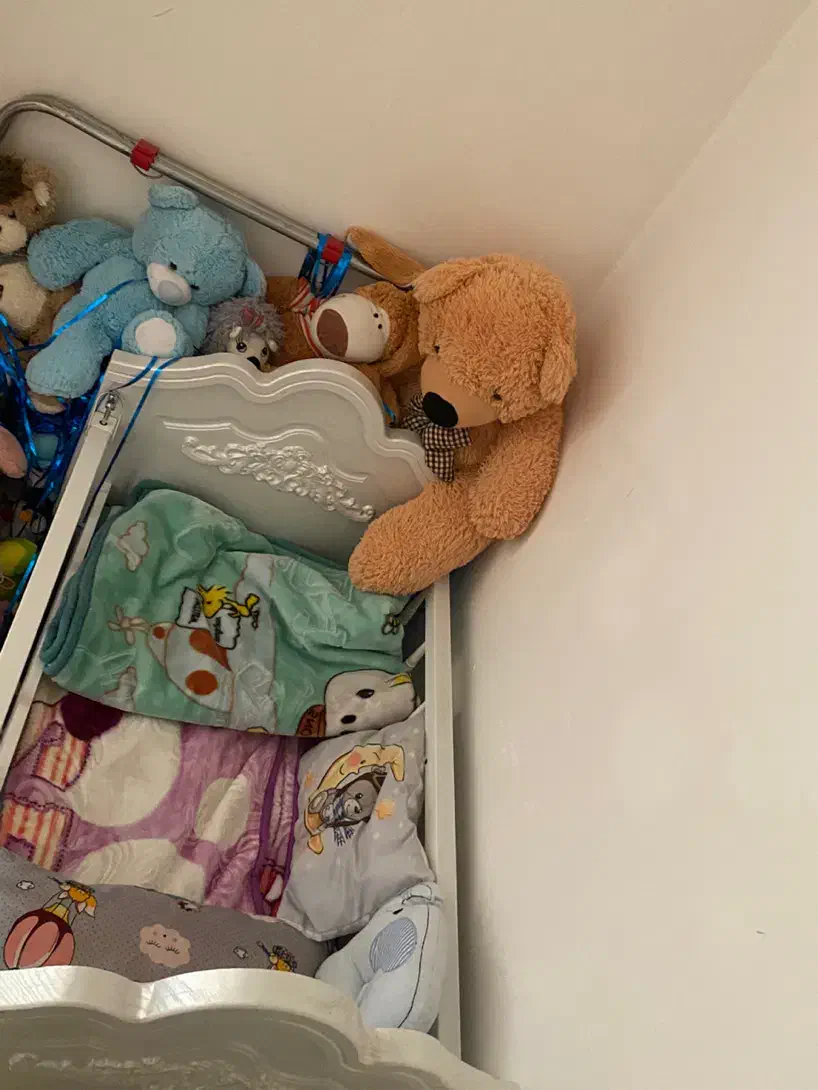 تخت و کمد کودک|اسباب و اثاث بچه|بندرلنگه, |دیوار