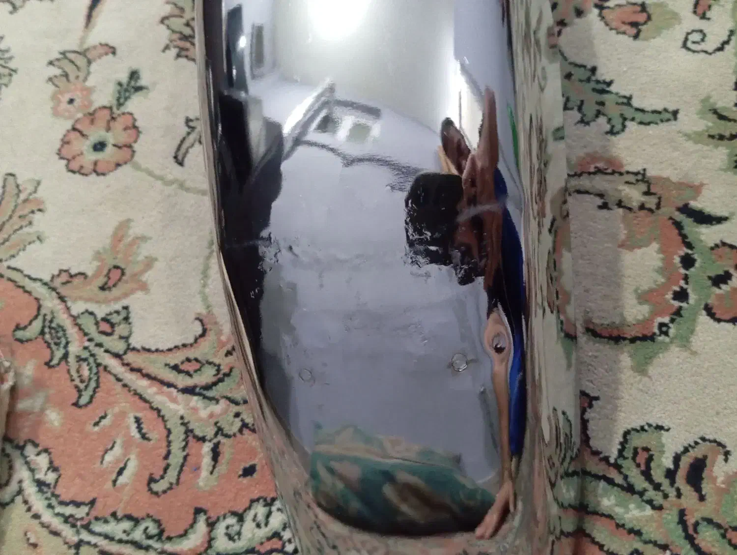 گلگیر جلوی باکسر|قطعات یدکی و لوازم جانبی|ری, دولت‌آباد|دیوار