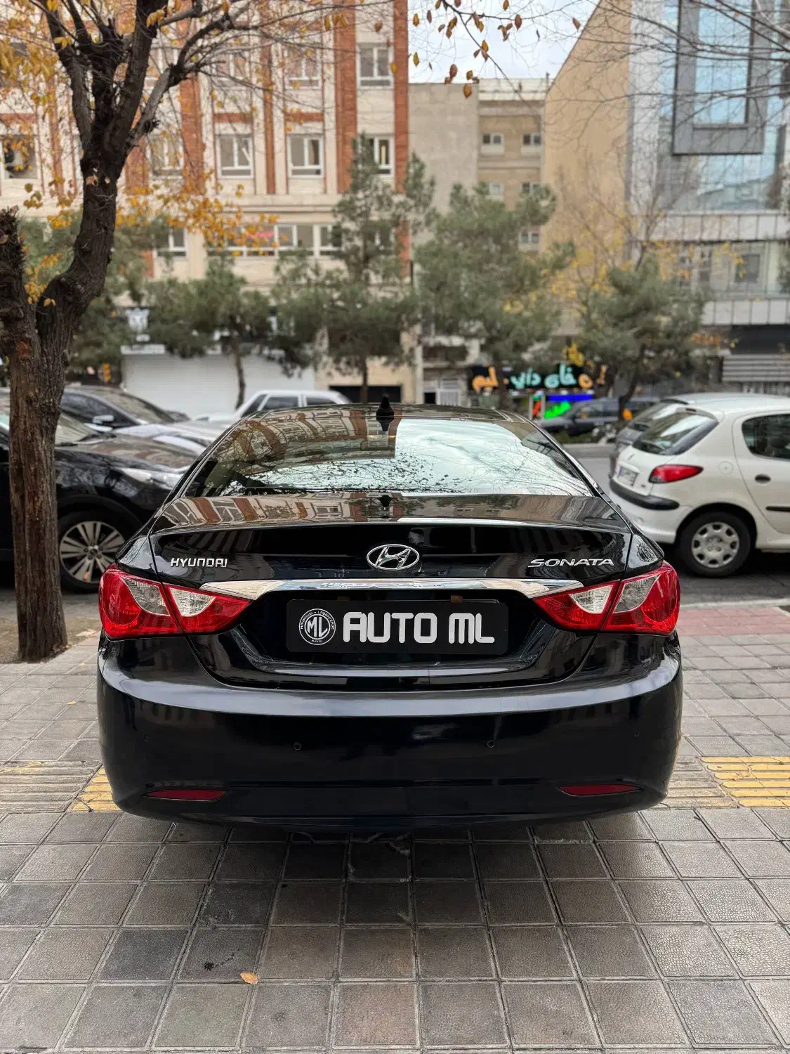 هیوندای سوناتا YF مدل 2012|خودرو سواری و وانت|تهران, درختی|دیوار