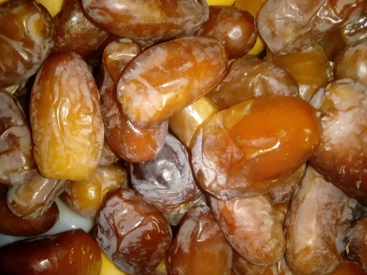 خرماعسلی.مکان بیرجند|خوردنی و آشامیدنی|جلگه ماژان, |دیوار