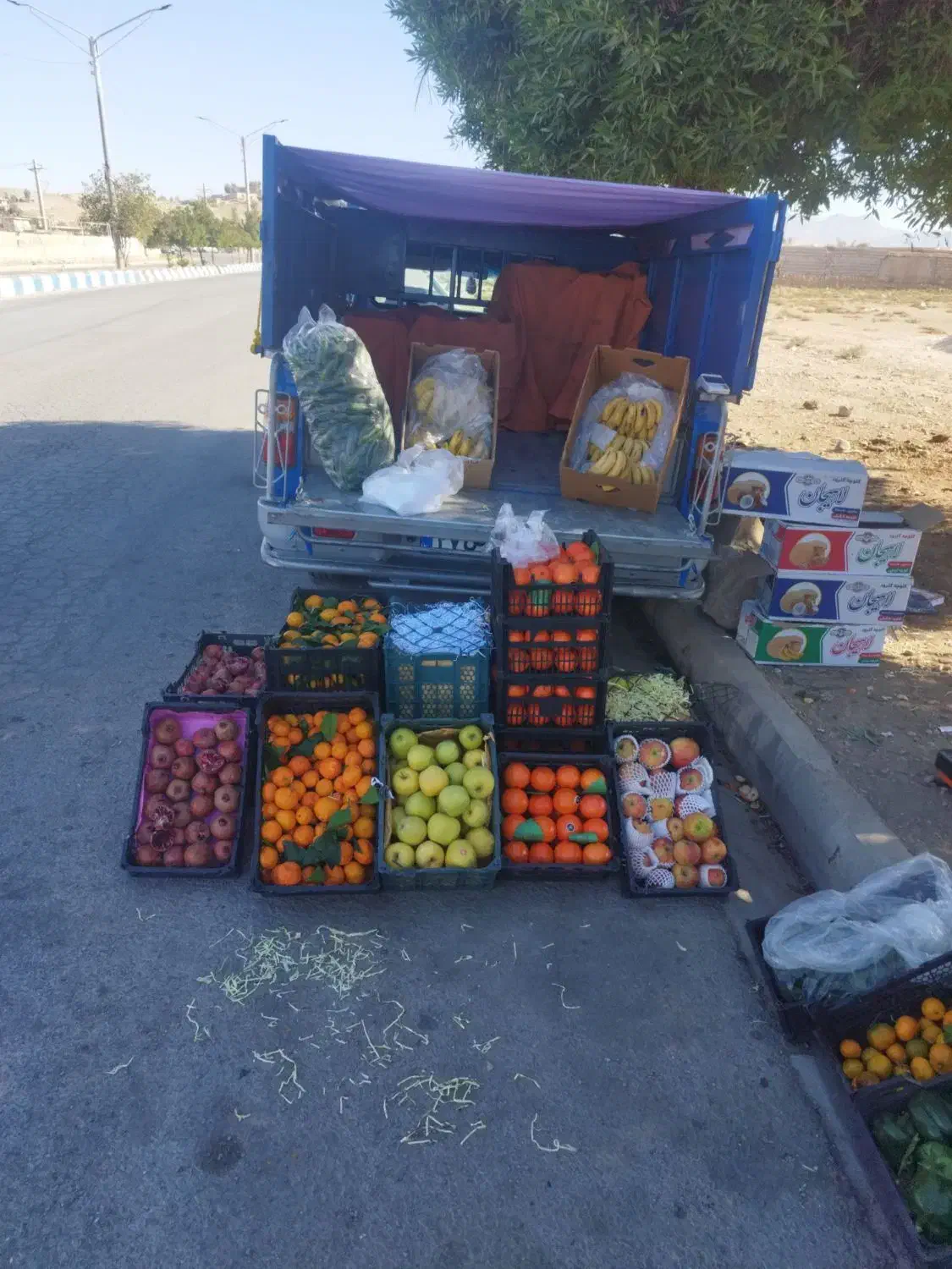 میوه وتر بار  قیمت شکن|عمده‌فروشی|اندیکا, |دیوار