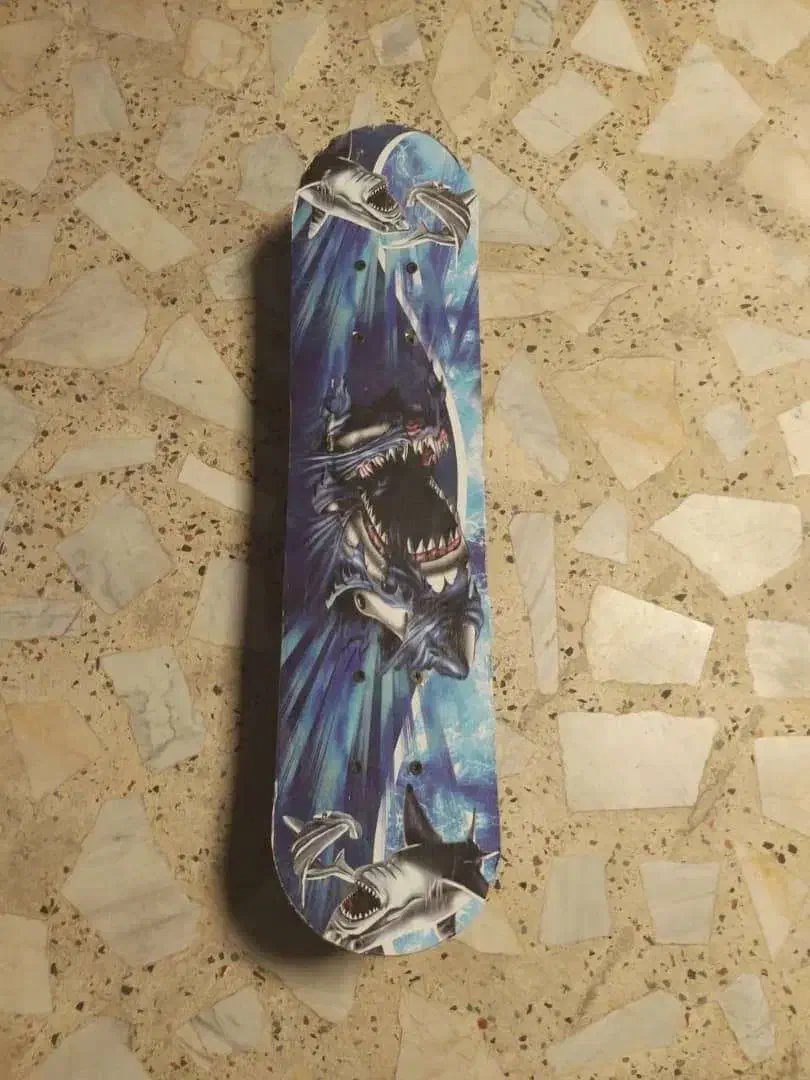 اسکیت برد چهارچرخ|دوچرخه، اسکیت، اسکوتر|رشت, بلوار گیلان|دیوار